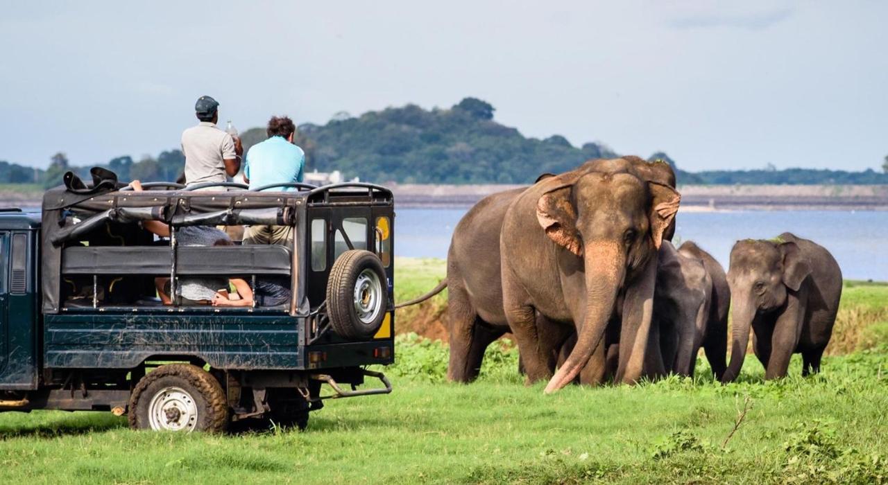 Dinesh Safari Homestay Udawalawe Esterno foto