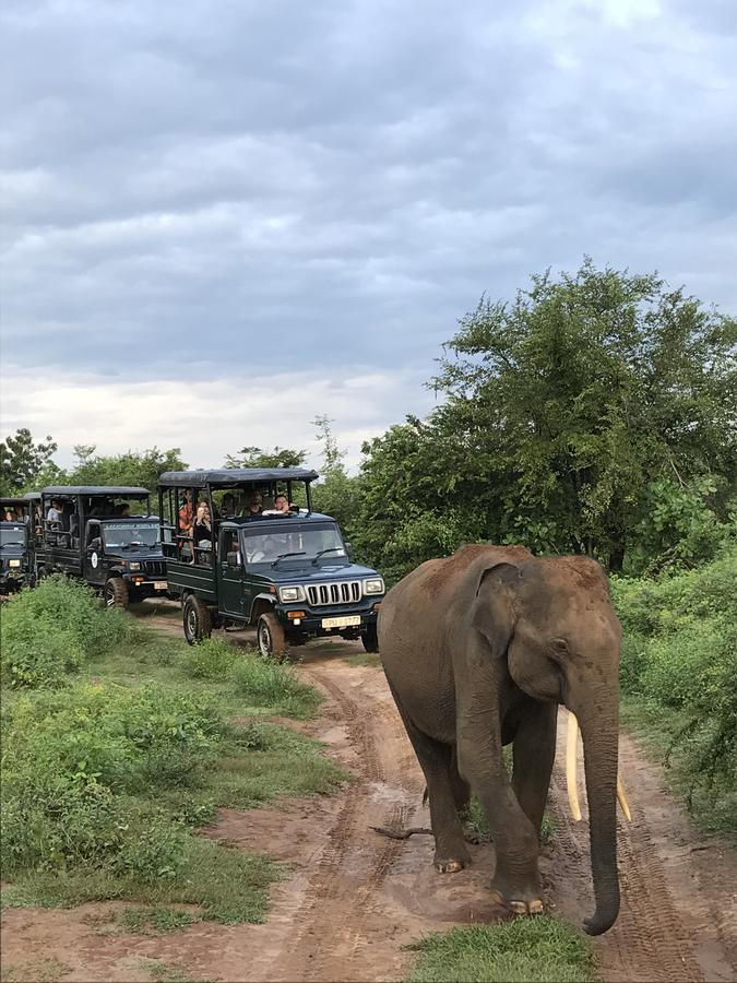 Dinesh Safari Homestay Udawalawe Esterno foto
